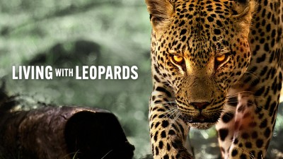  Living with Leopards  Living with Leopards